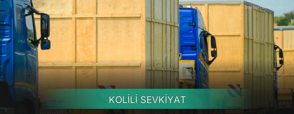 Bayburt Kolili Sevkiyat Ambar Firmaları